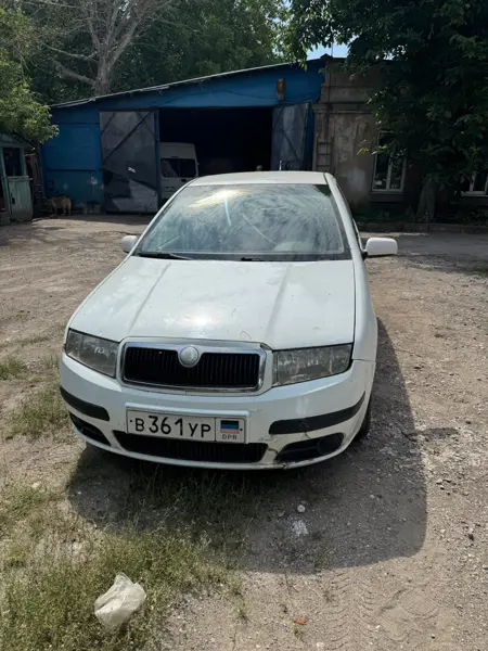 Skoda Fabia I 2006г универсал